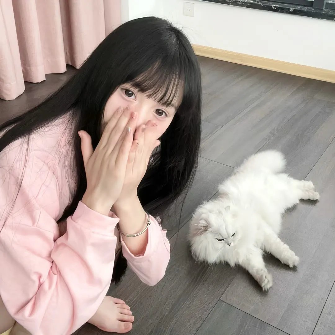 沙普的围攻 在线观看