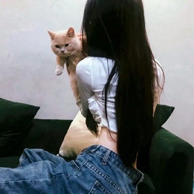 阿燕的人生 在线观看